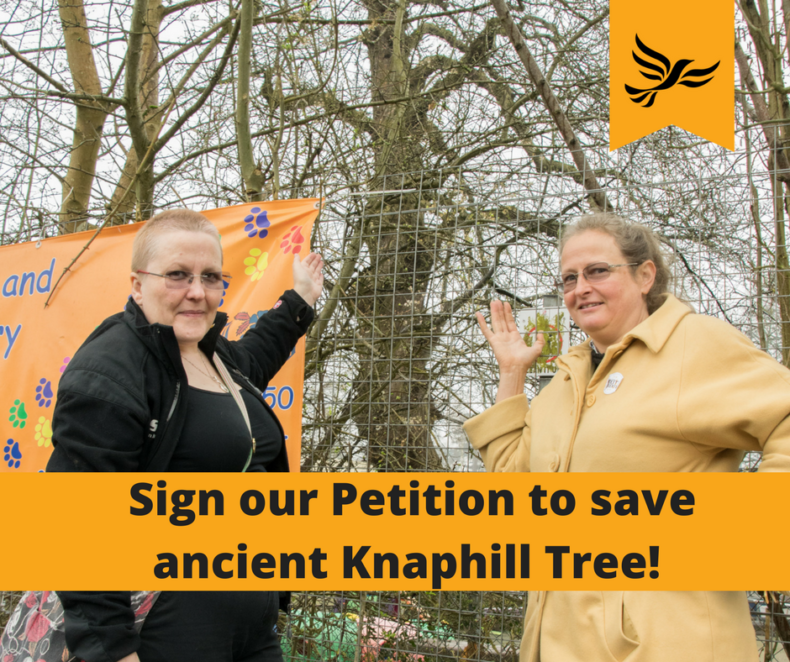 Louise Morales and Jamie Roscoe-Jones point at a tree - Woking Lib Dems
