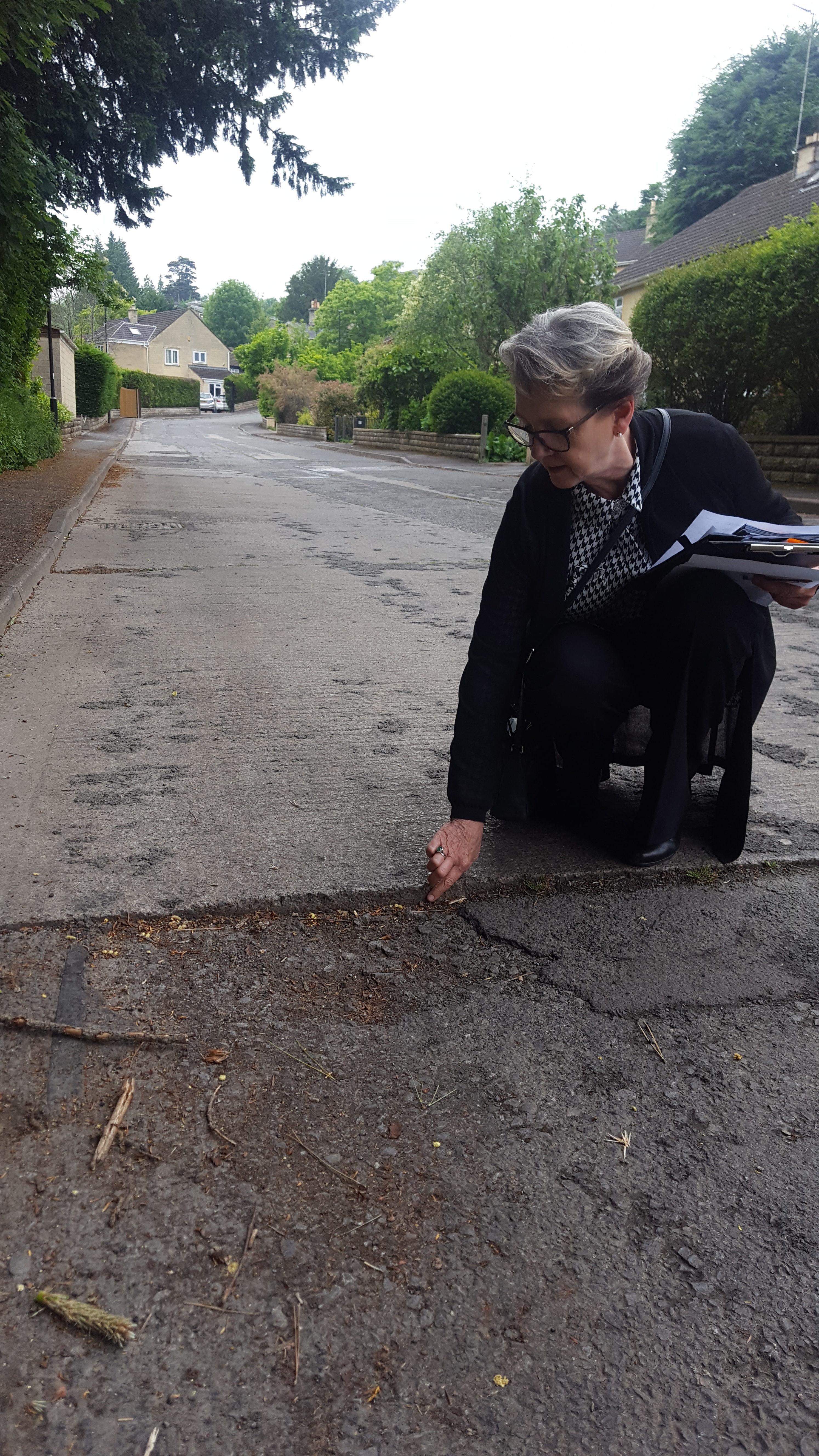 Sue Craig - Bath Liberal Democrats - pointing at a road